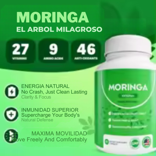 MORINGA ROSABELLA