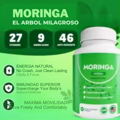 MORINGA ROSABELLA